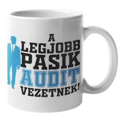 A legjobb pasik Audit vezetnek bögre