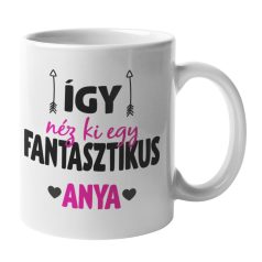 Így néz ki egy fantasztikus anya bögre