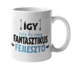 Így néz ki egy fantasztikus fejlesztő bögre