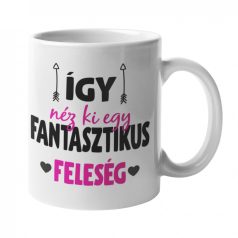 Így néz ki egy fantaszitkus feleség bögre