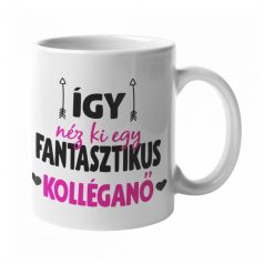 Így néz ki egy fantasztikus kolléganő bögre