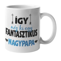 Így néz ki egy fantaszitikus nagypapa bögre