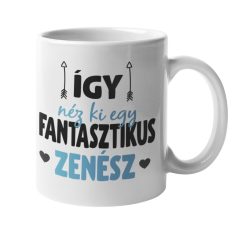 Így néz ki egy fantasztikus zenész bögre