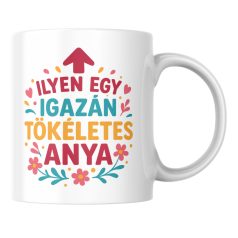 Ilyen egy igazán tökéletes anya bögre
