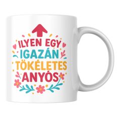 Ilyen egy igazán tökéletes anyós bögre